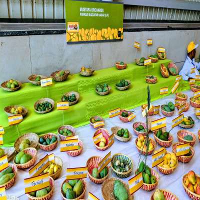 Mango Festival Place to visit